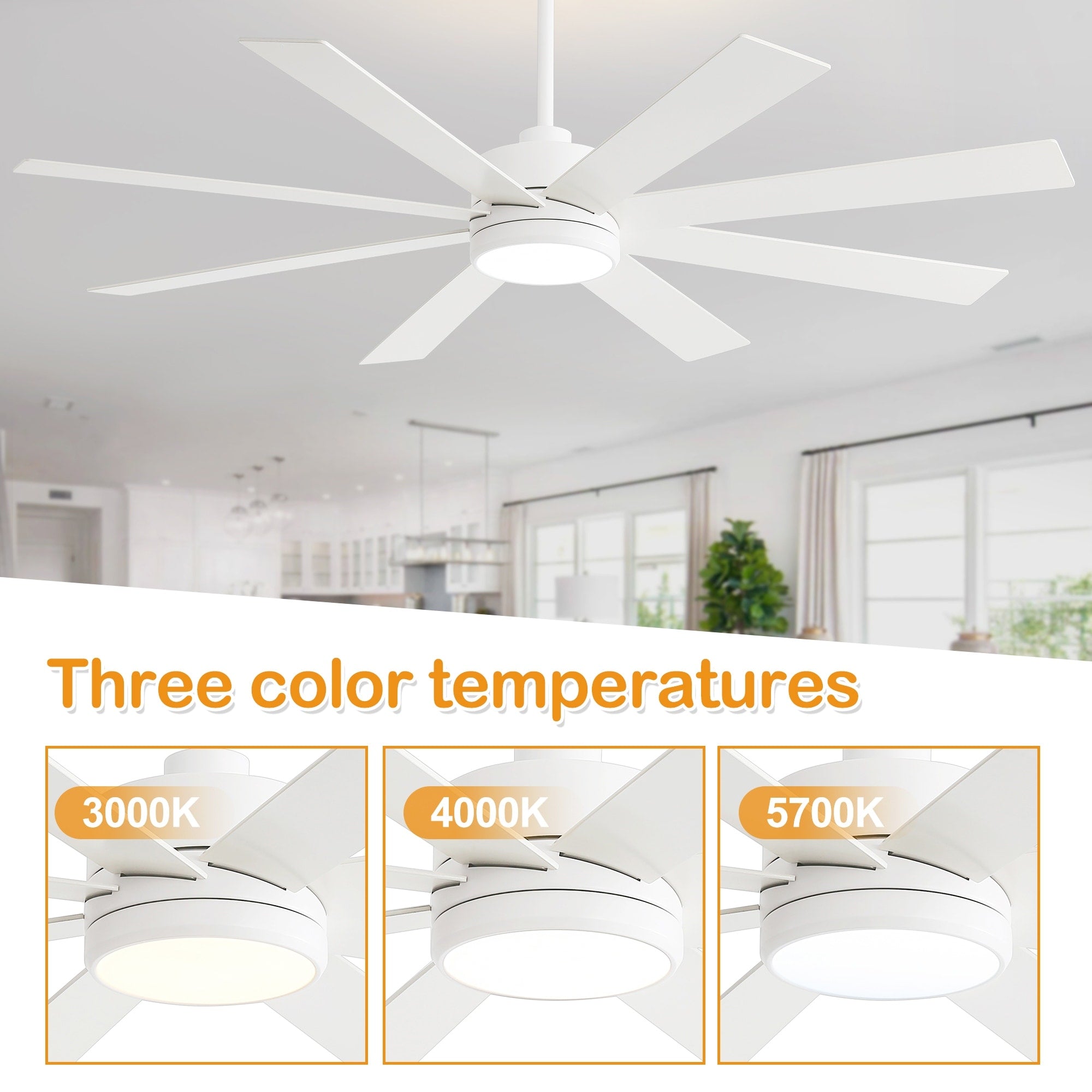 Ventilatore da soffitto a LED nero da 65 pollici a 8 pale con luce e telecomando