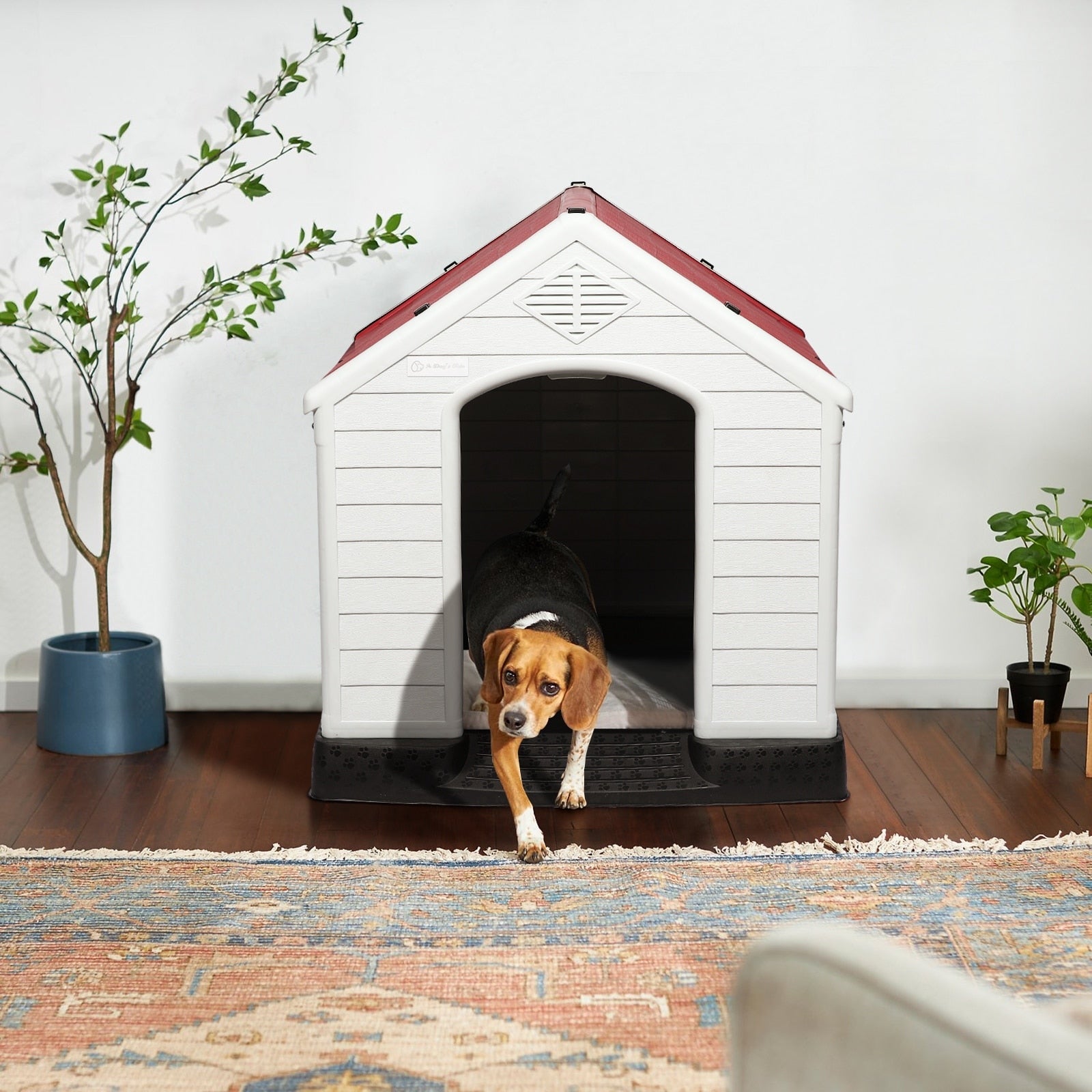 Cuccia per cani in plastica BOSSIN per cani di piccola e grande taglia, cuccia isolata per interni ed esterni, rifugio per cuccioli con pavimento rialzato