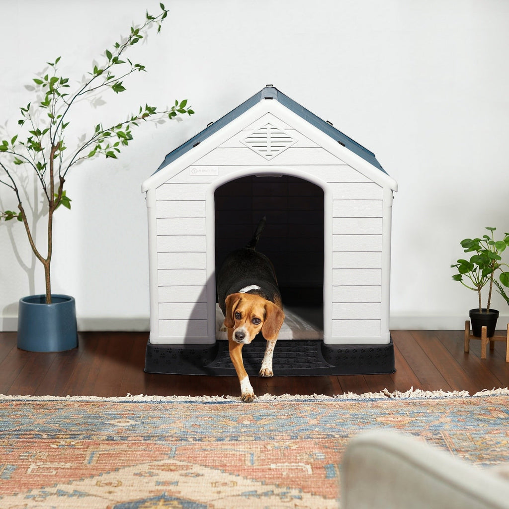 Cuccia per cani in plastica BOSSIN per cani di piccola e grande taglia, cuccia isolata per interni ed esterni, rifugio per cuccioli con pavimento rialzato