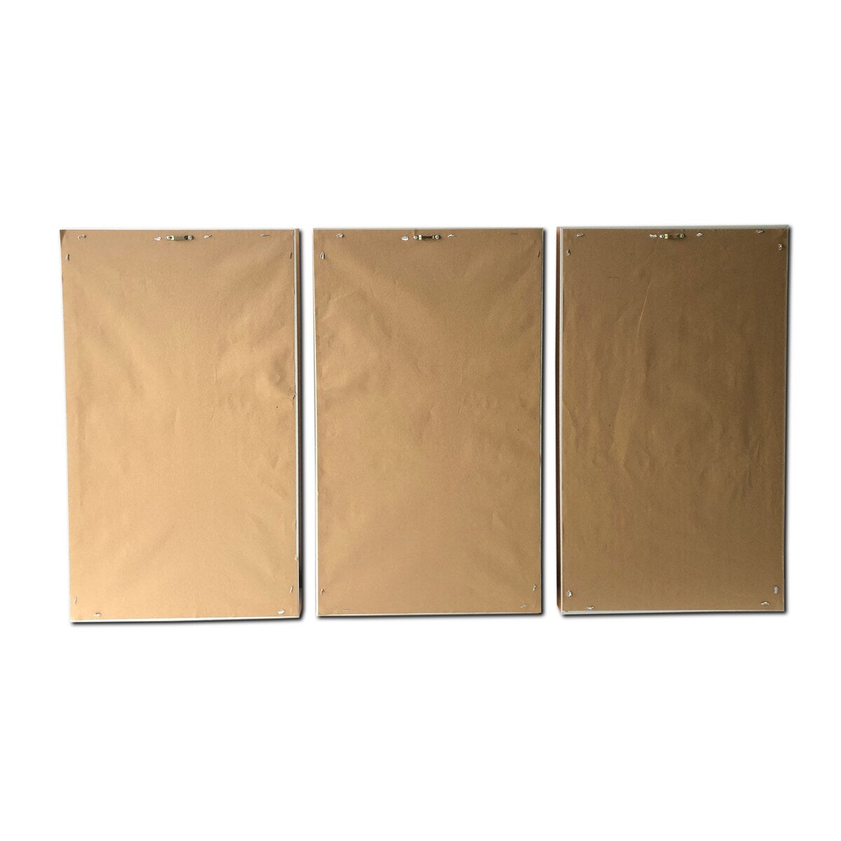 Set di 3 stampe di uccelli dorati su tela galleggiante dorata con cornice decorativa da parete