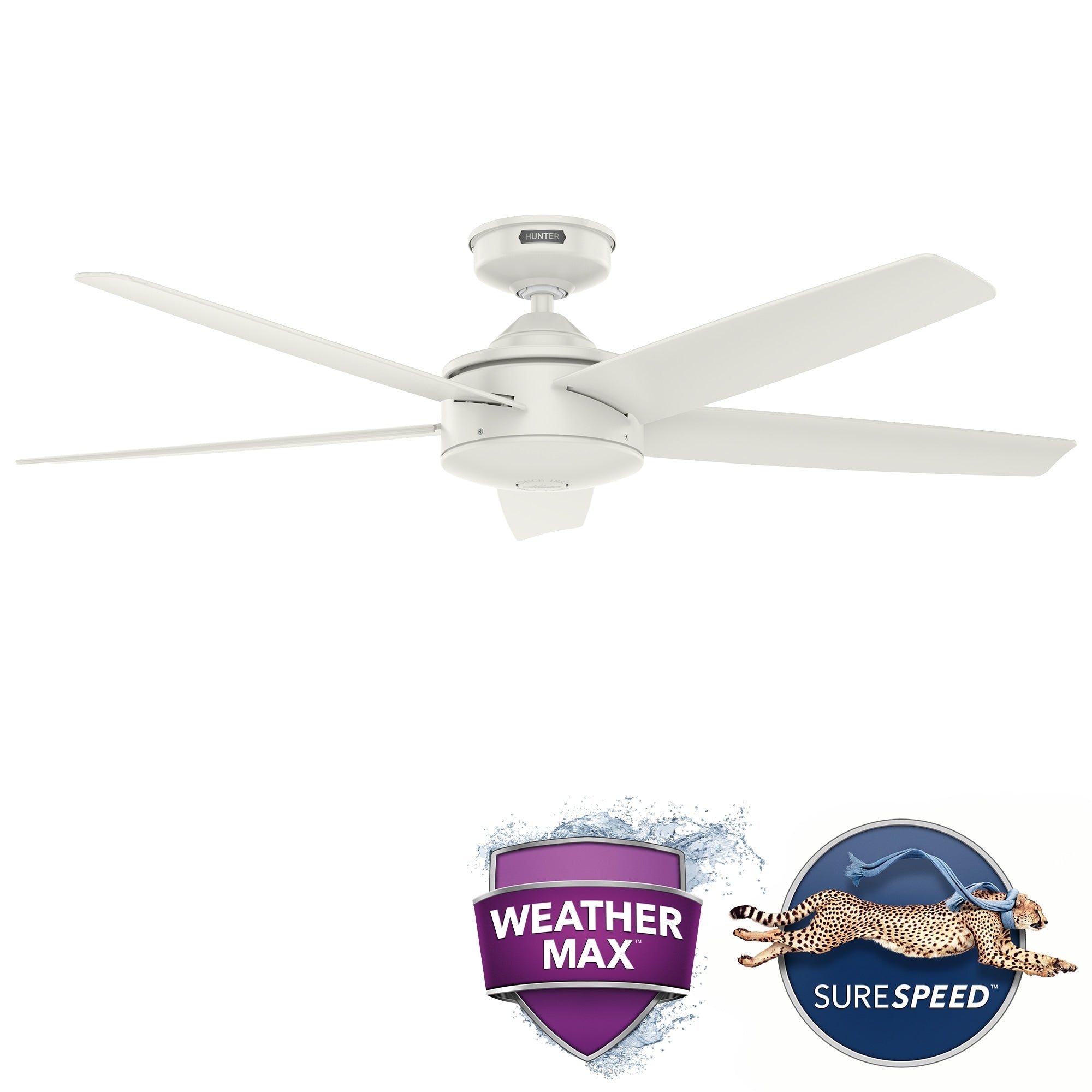 Ventilatore da soffitto per interni/esterni Hunter 52 Shorebreak WeatherMax con controllo a parete - Resistente alle condizioni meteorologiche estreme, al sale e alla corrosione
