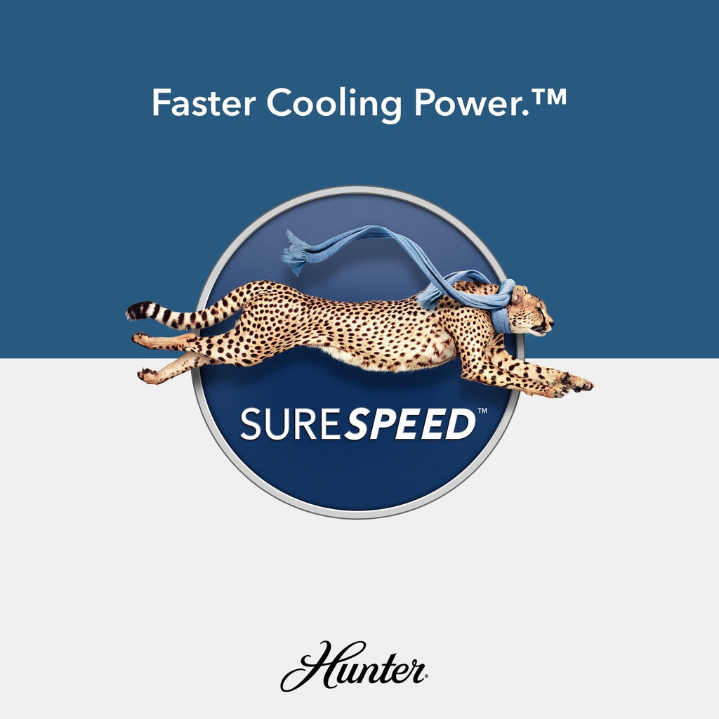Ventilatore da soffitto per interni/esterni Hunter 52 Shorebreak WeatherMax con controllo a parete - Resistente alle condizioni meteorologiche estreme, al sale e alla corrosione