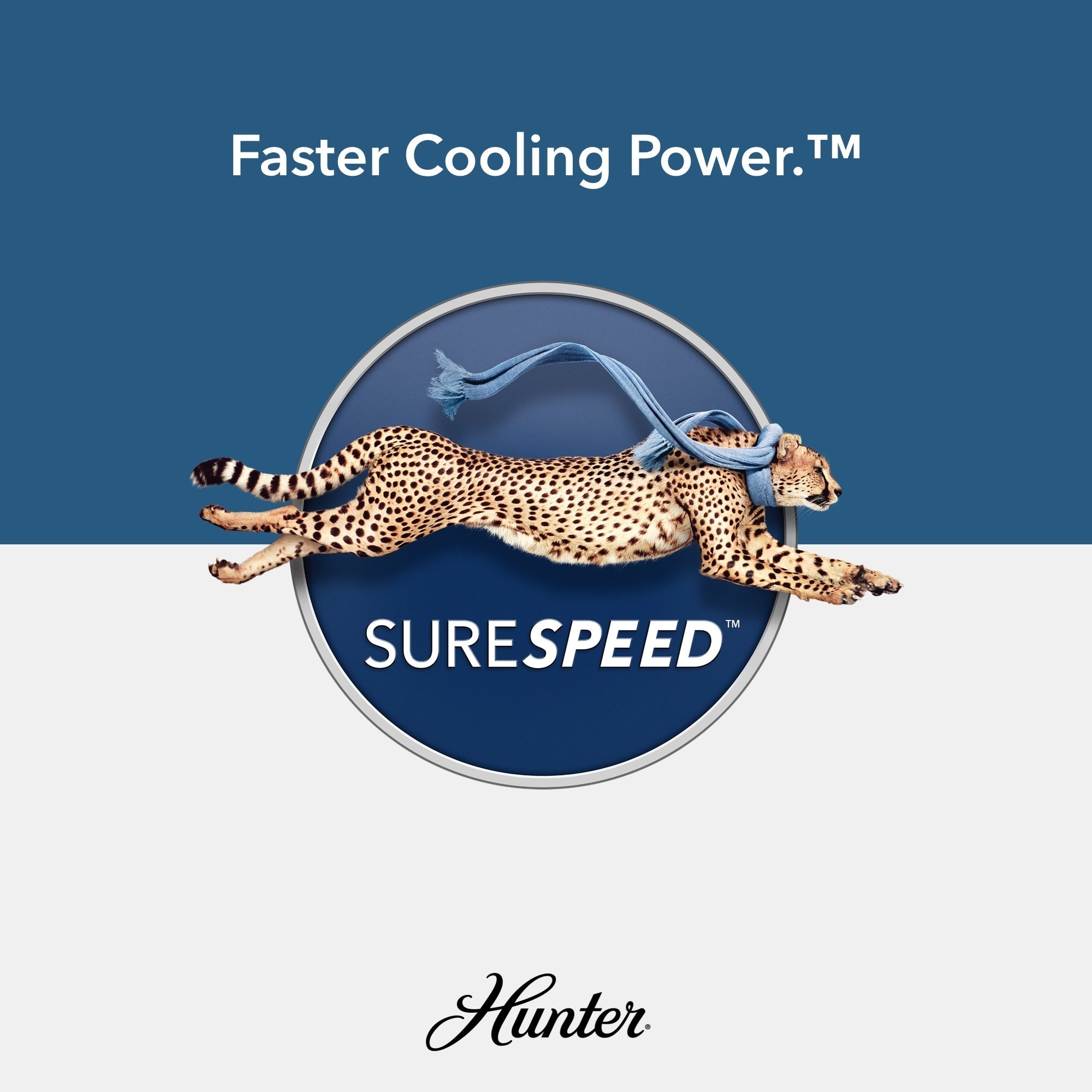 Ventilatore da soffitto per interni/esterni Hunter 52 Shorebreak WeatherMax con controllo a parete - Resistente alle condizioni meteorologiche estreme, al sale e alla corrosione