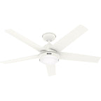 Ventilatore da soffitto per esterni Hunter 52 Skyflow con kit di luci a LED, controllo a parete - Stile moderno e contemporaneo costiero - WeatherMax - ANTIPIOGGIA!