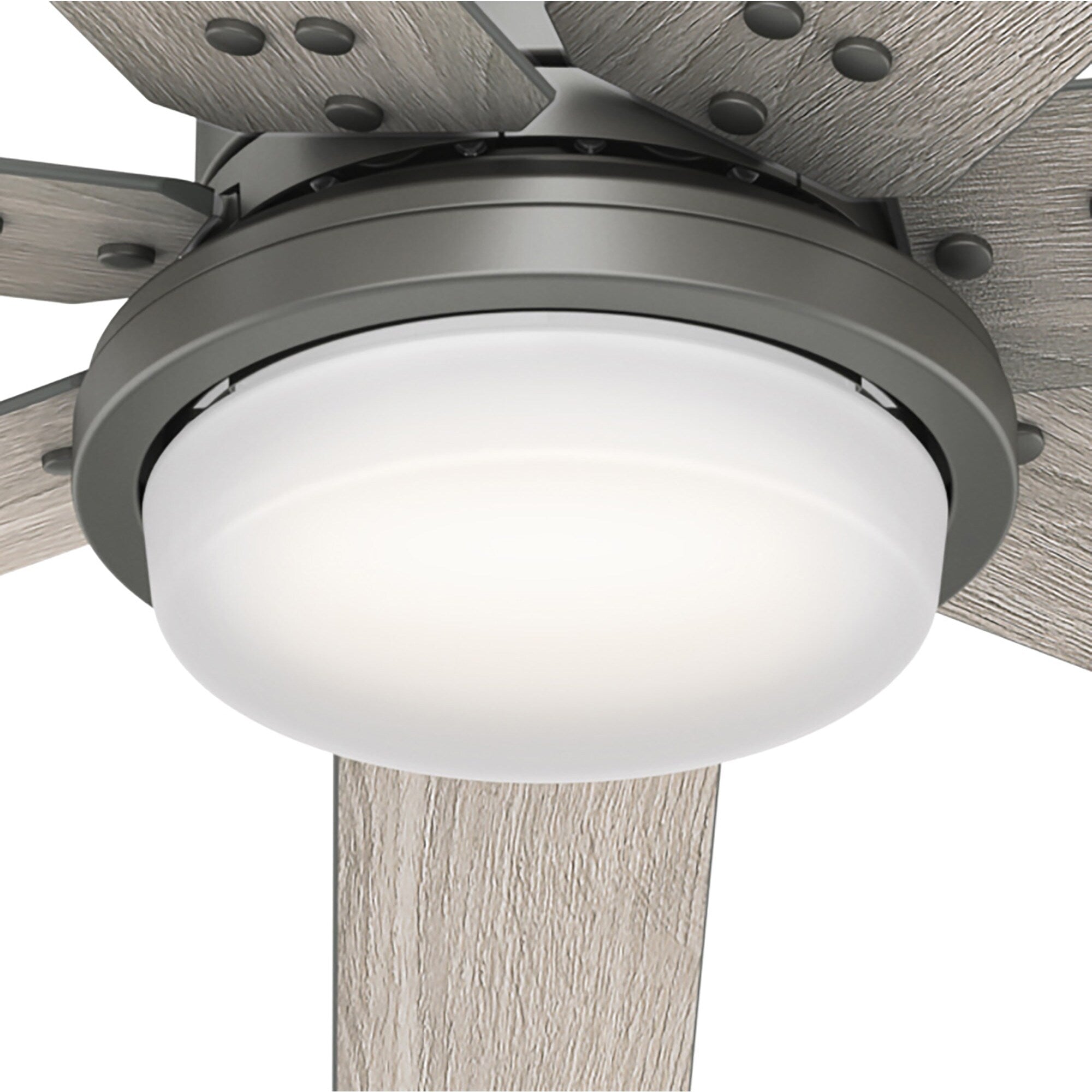 Ventilatore da soffitto Hunter WiFi Whittington con luce LED, telecomando portatile - Mulino a vento - Industriale, da fattoria, rustico - VENTILATORE INTELLIGENTE!