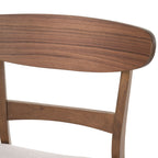 Sedia da pranzo Abrielle in legno di caucciù imbottita in stile moderno di metà secolo (set di 2) di Christopher Knight Home