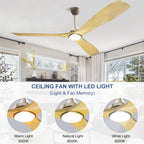 Ventilatore da soffitto con luci a filo e telecomando