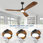 Ventilatore da soffitto con luci a filo e telecomando