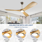 Ventilatore da soffitto con luci a filo e telecomando