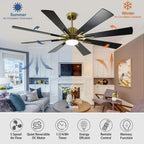 Ventilatore da soffitto con luci e telecomando, 8 pale in legno grandi